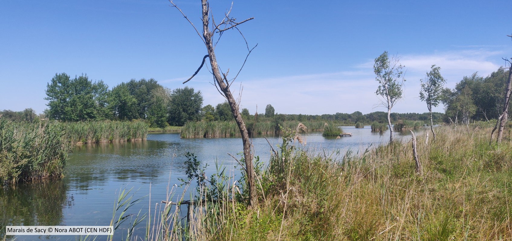 20200722 Sacy CENHDF N ABOT