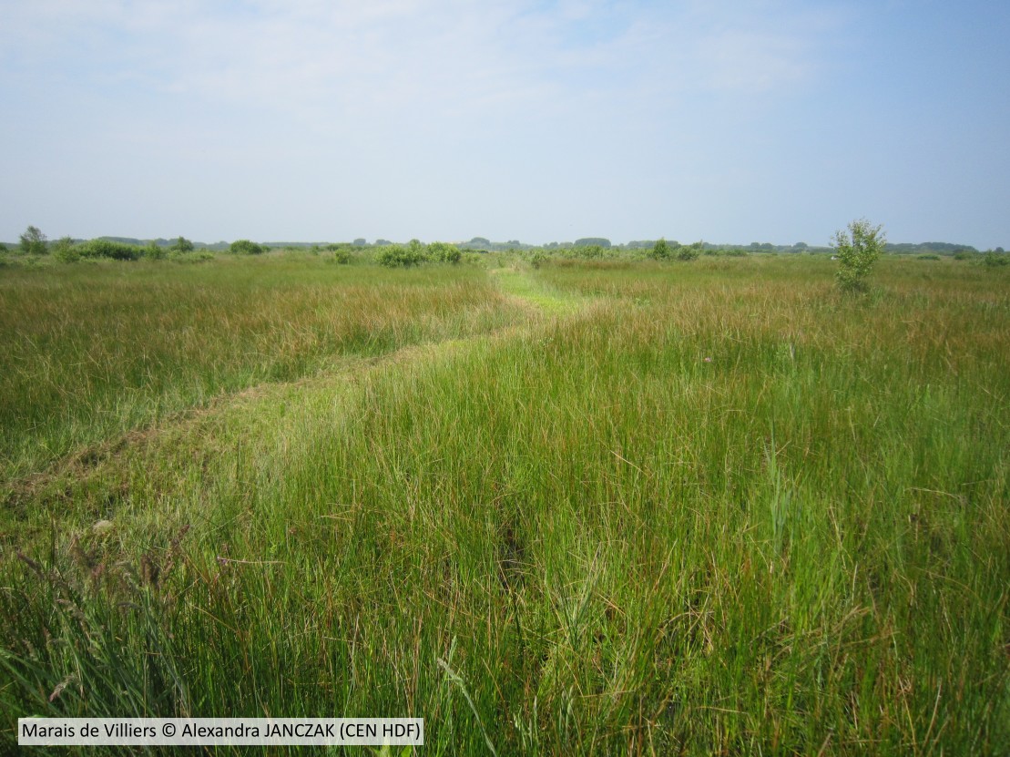 20160607 Villiers CENHDF A JANCZAK