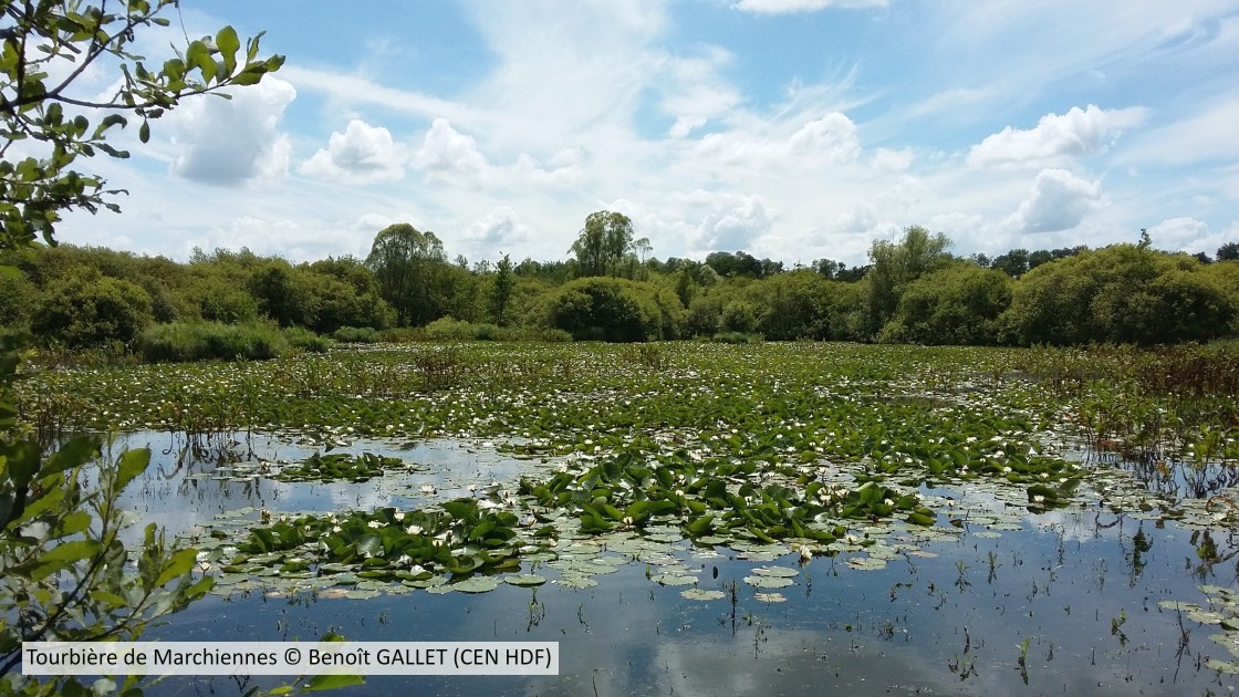 20190620 Marchiennes CENNPDC B GALLET 3