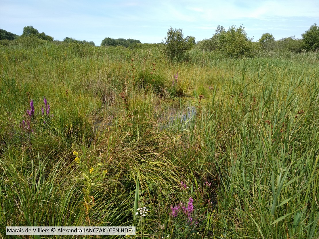 20200715 Villiers CENHDF A JANCZAK