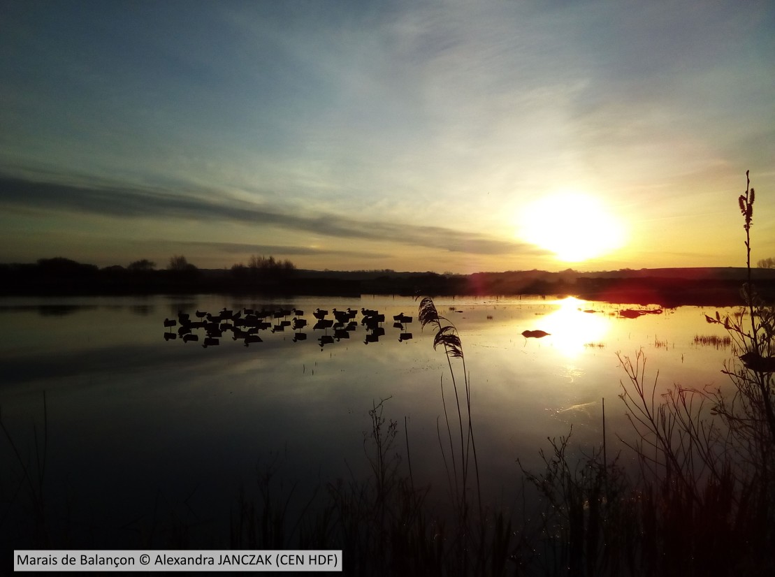 20180411 Balancon CENHDF A JANCZAK