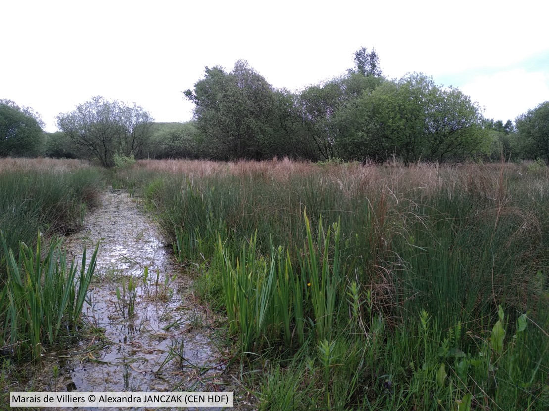 20190503 Villiers CENHDF A JANCZAK