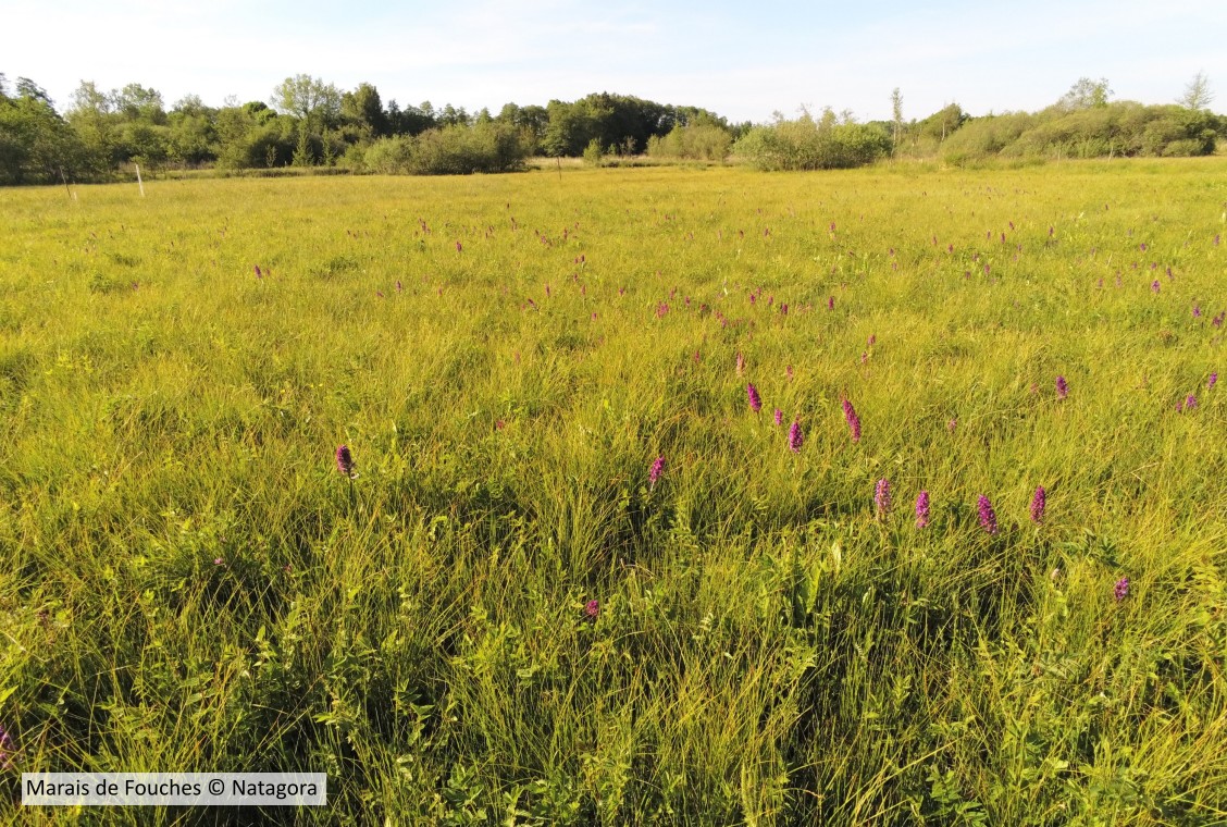 20190601 Fouches NATAGORA 3